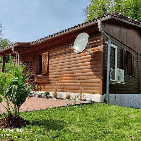 Ferienwohnung Grete, An Der Weinstrasse Ehrenhausen Eksteriør bilde