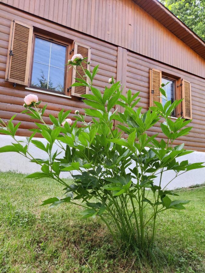 Ferienwohnung Grete, An Der Weinstrasse Ehrenhausen Eksteriør bilde